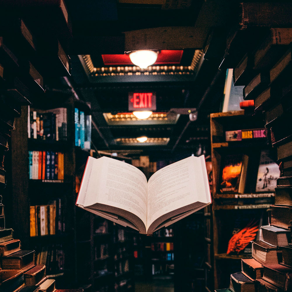 Licenciatura en Letras