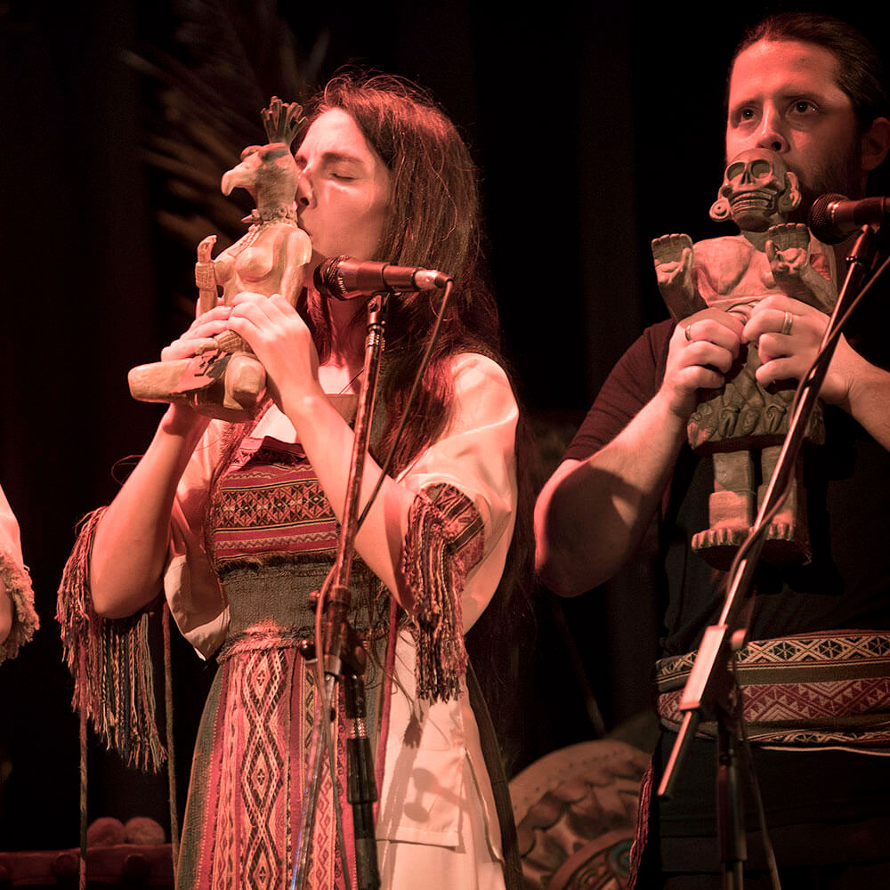 Licenciatura en Música Autóctona, Clásica y Popular de América