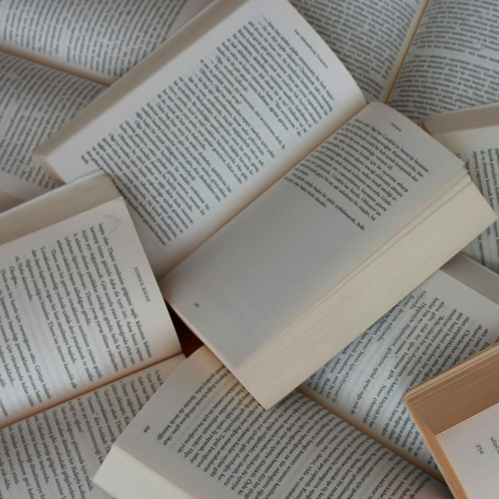 Profesorado en Letras