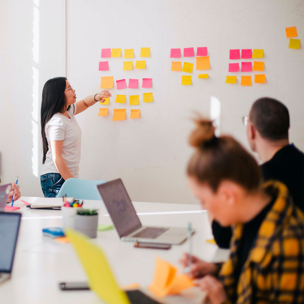 Licenciatura en Administración Pública