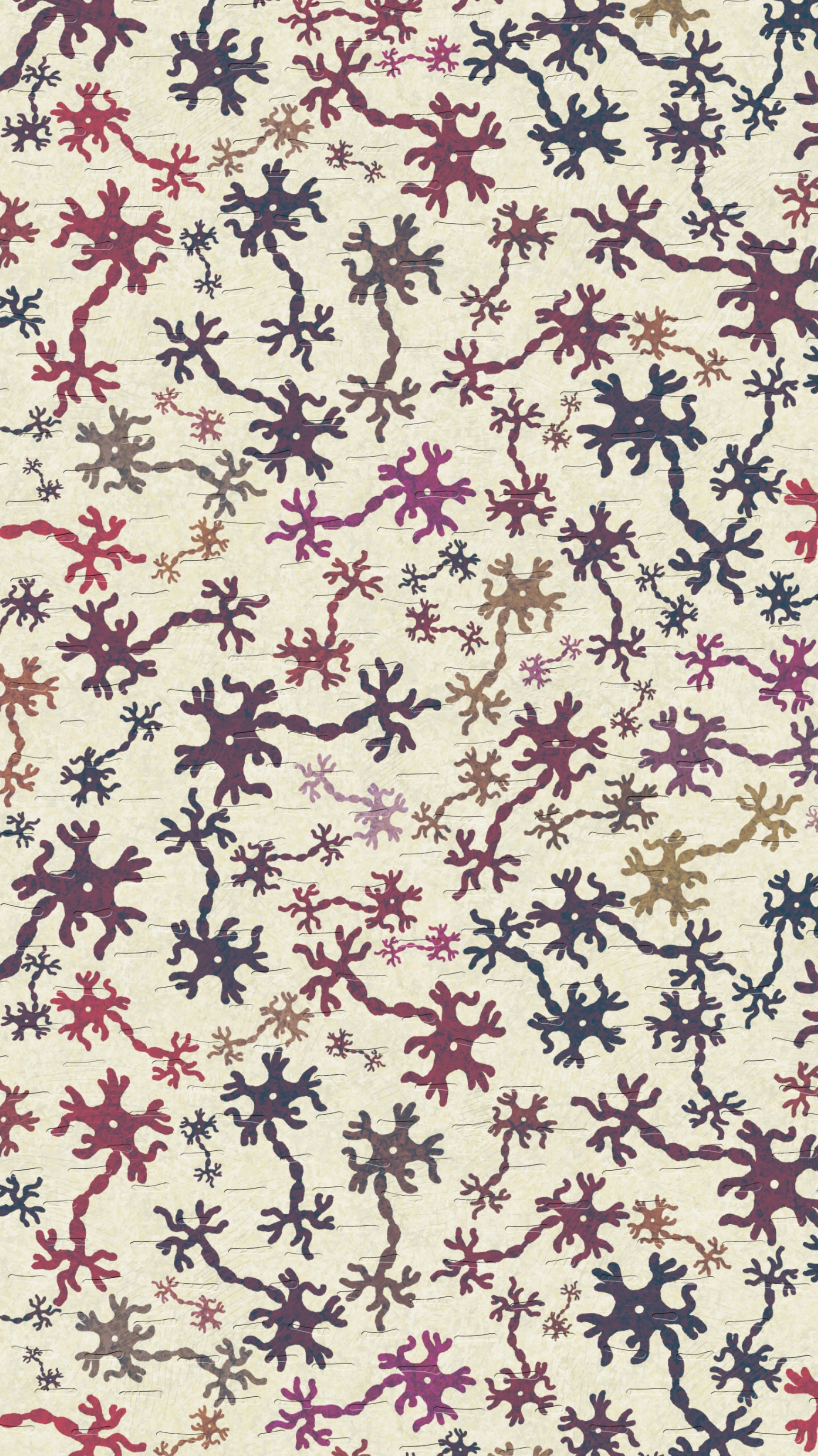 Encuentro Lenguaje y cognición en TEA