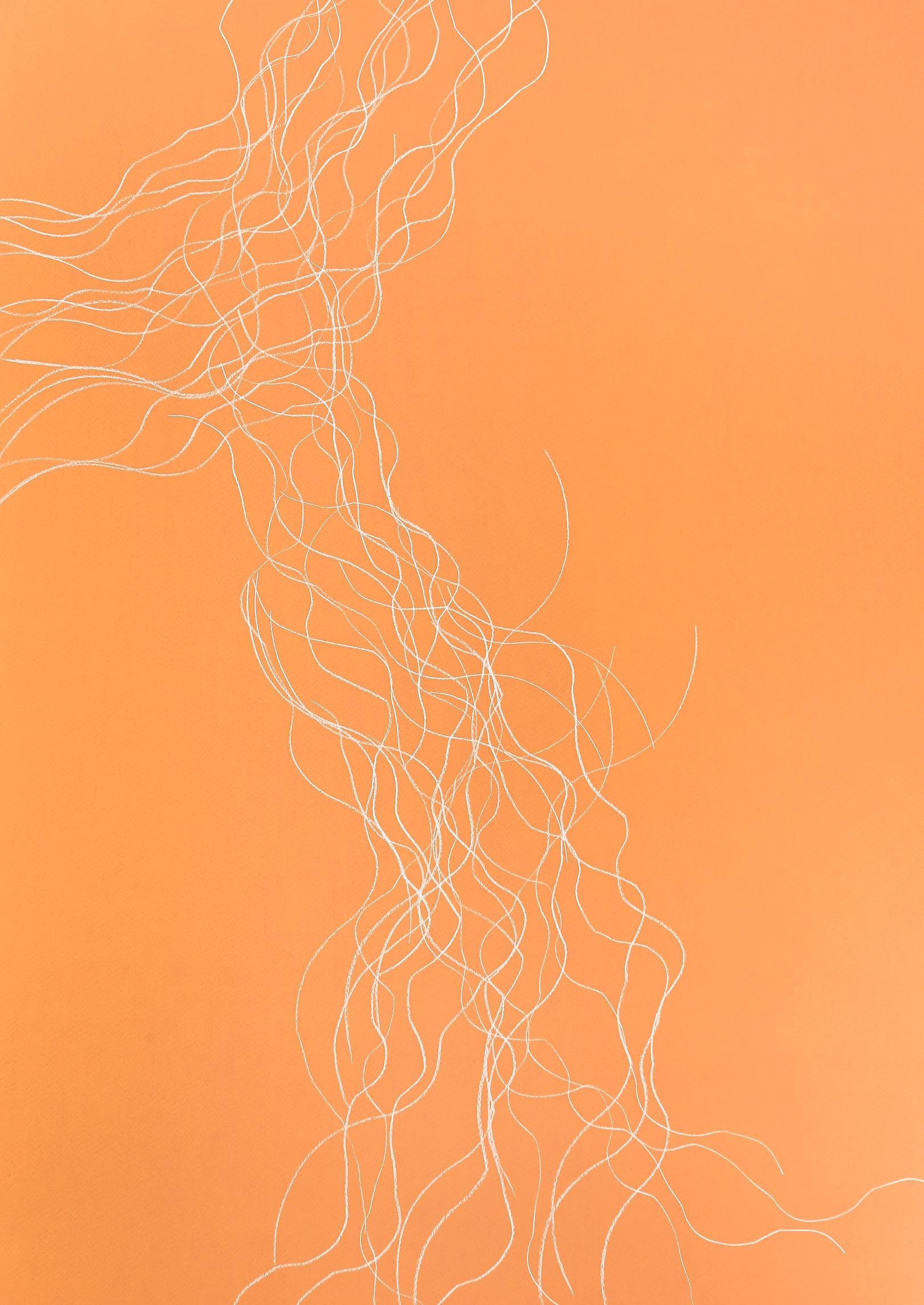 Conversatorios indisciplinados  | El canto de las mariposas (Desaparición y patrimonio)