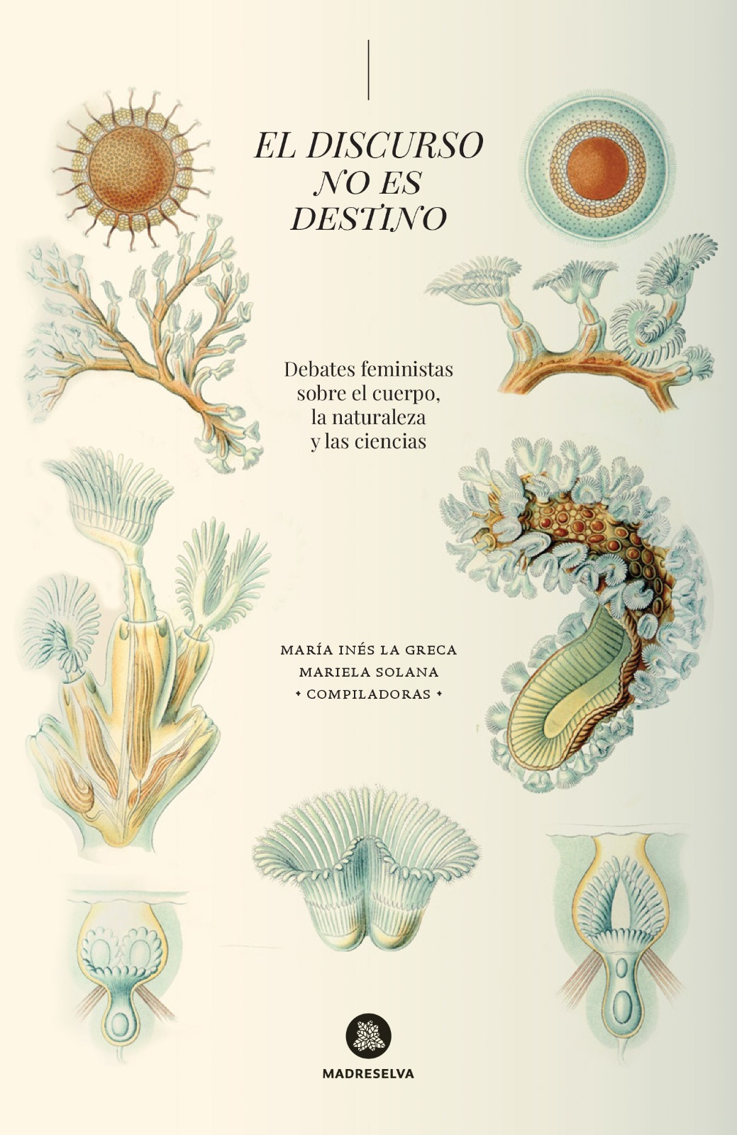 Presentación del libro | El discurso no es destino: debates feministas sobre el cuerpo, la naturaleza y las ciencias