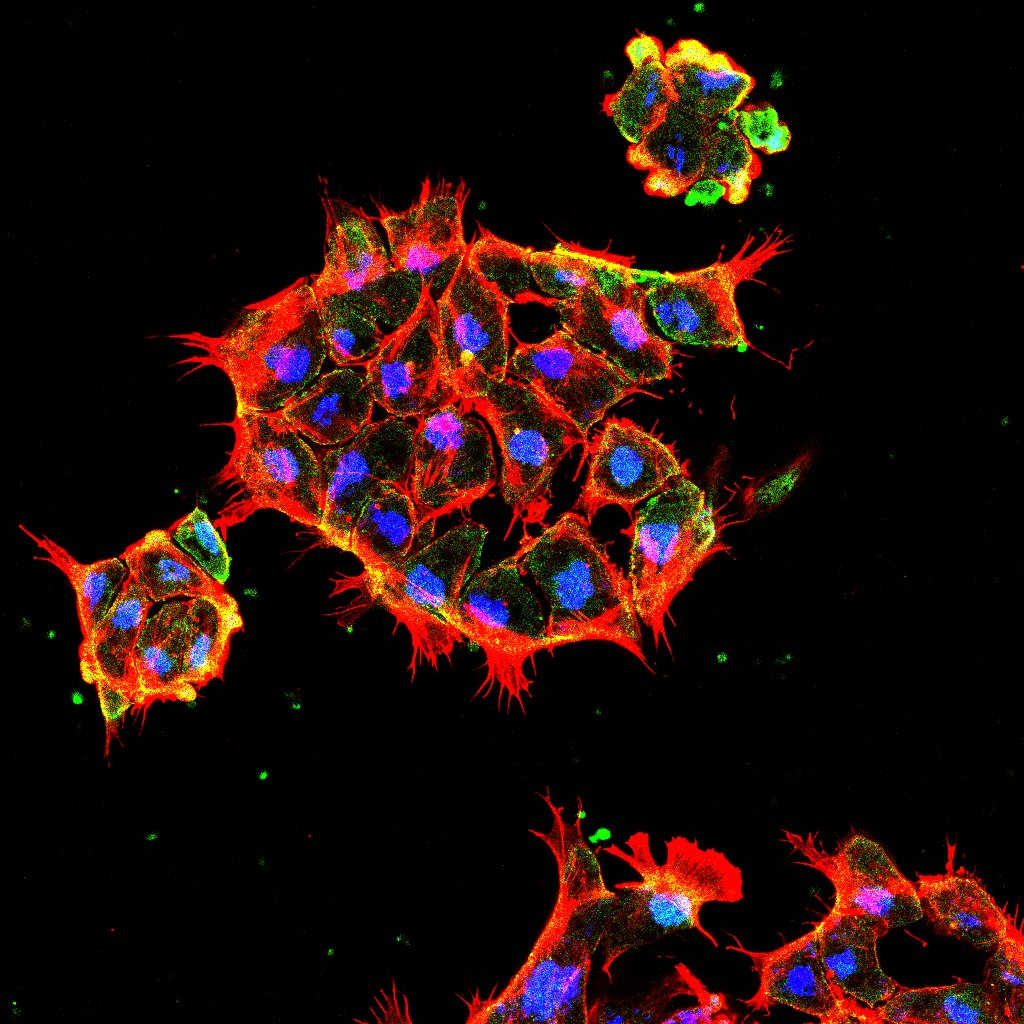 Seminarios del Doctorado en Artes y Tecnoestéticas abiertos a la comunidad