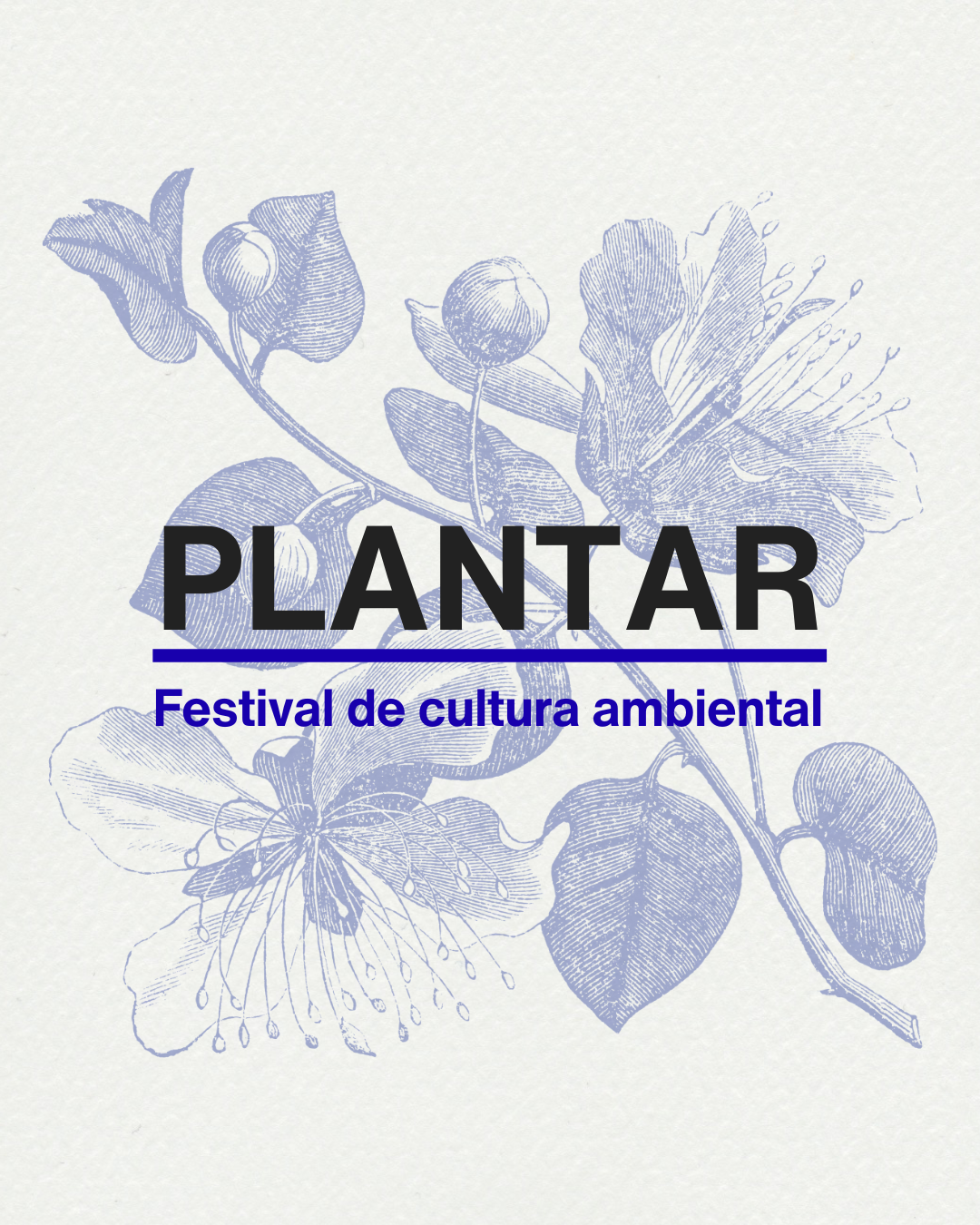 Plantar Festival cultural de cultura ambiental